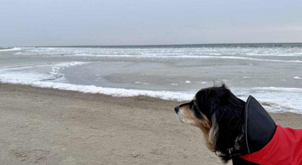 Lilo am eisigen Ostseestrand