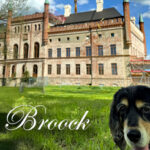 Schloss Broock mit Lilo