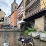 Ein Bad unter der Krämerbrücke in Erfurt